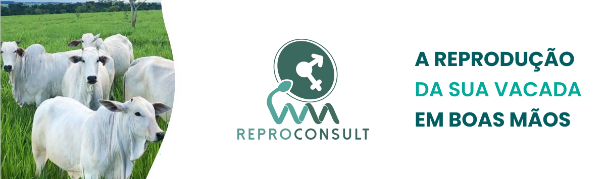 Banner Reproconsult